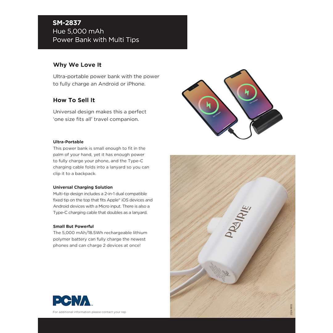 Hue 5000 mAh Power Bank with Multi Tips